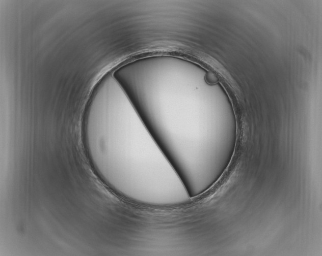 X0000113020834200908271031