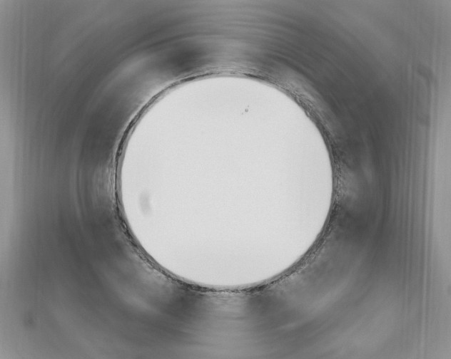 X0000113020836200908271032