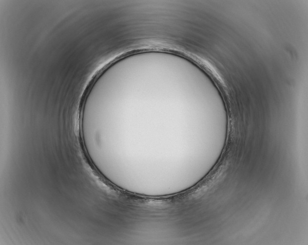 X0000113020839200908271032