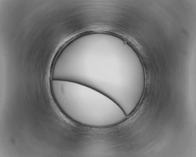 X0000113020840200908271032