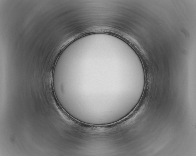 X0000113020841200908271032