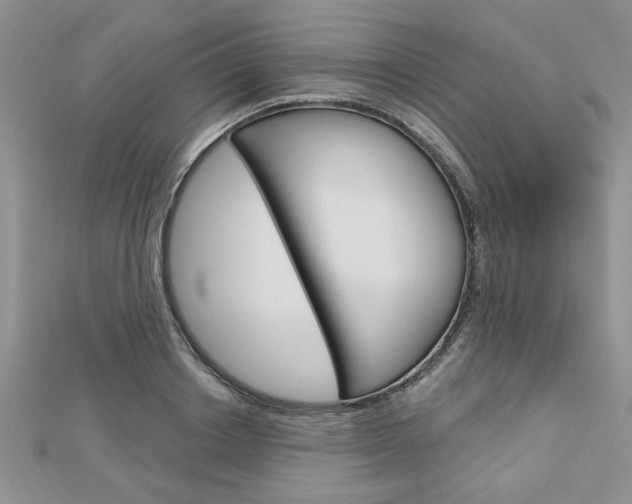 X0000113020842200908271032