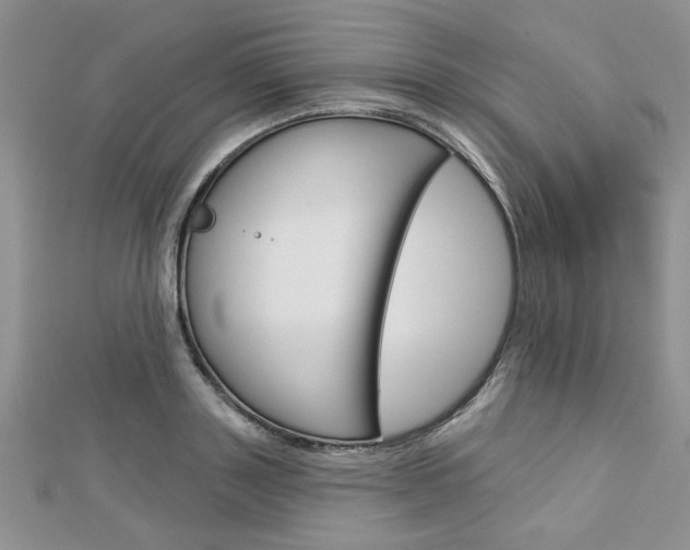 X0000113020843200908271032