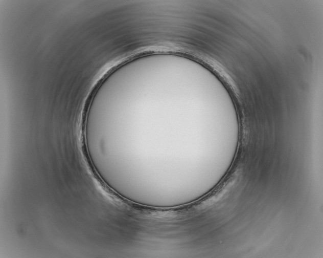 X0000113020845200908271032