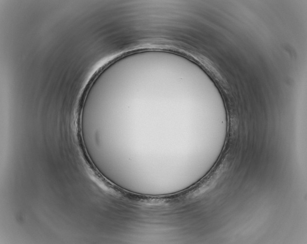 X0000113020846200908271032