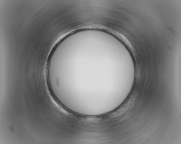 X0000113020847200908271032
