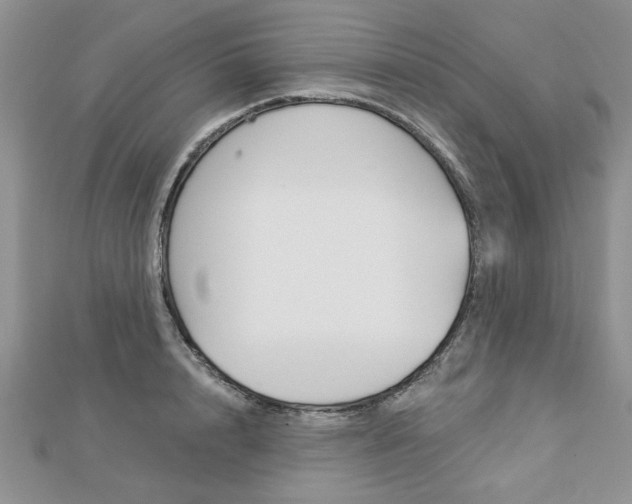 X0000113020848200908271032
