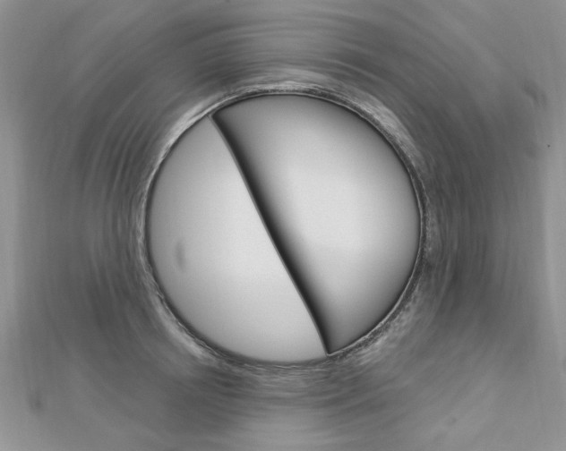 X0000113020850200908271032