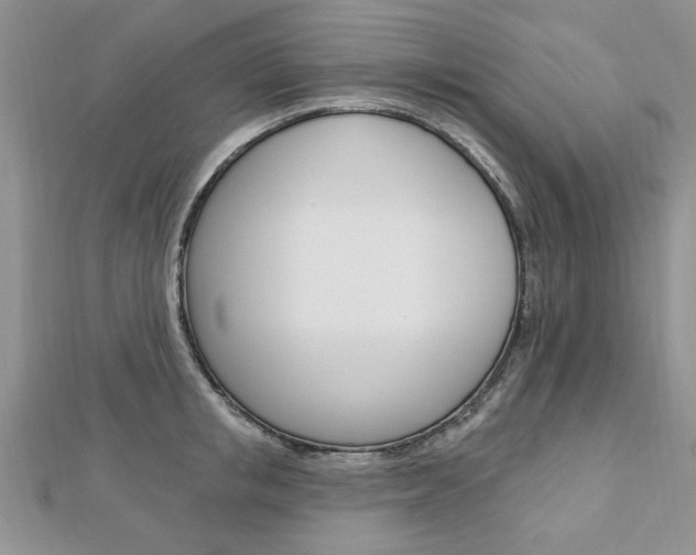 X0000113020853200908271032