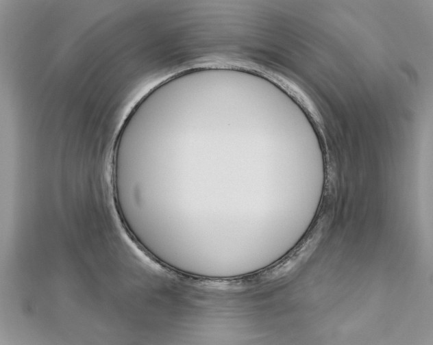 X0000113020855200908271032