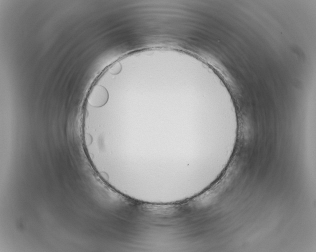 X0000113020856200908271032
