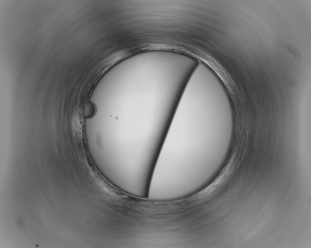 X0000113020857200908271032