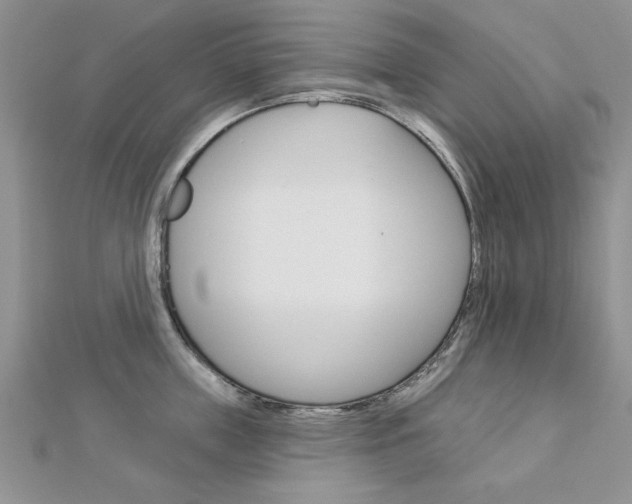 X0000113020859200908271032