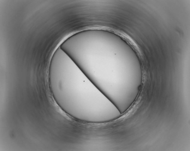 X0000113020860200908271032