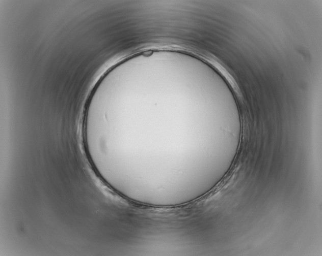 X0000113020861200908271032