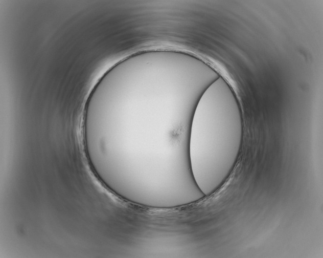 X0000113020863200908271032