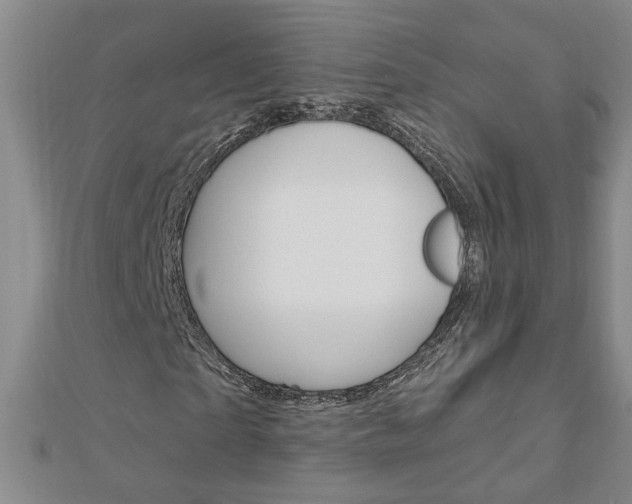 X0000113020865200908271031