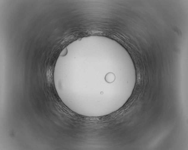X0000113020866200908271031