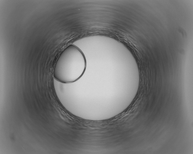 X0000113020868200908271031