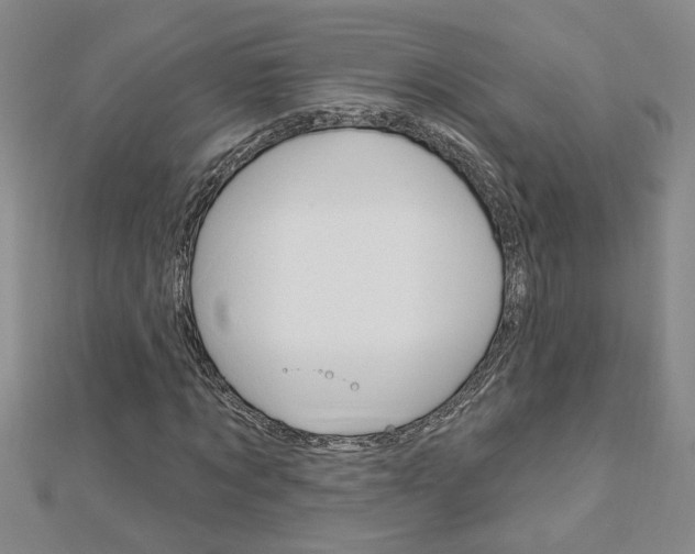 X0000113020869200908271031