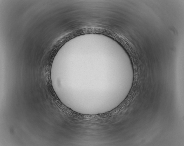 X0000113020870200908271031