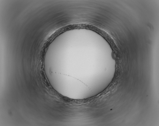 X0000113020871200908271031