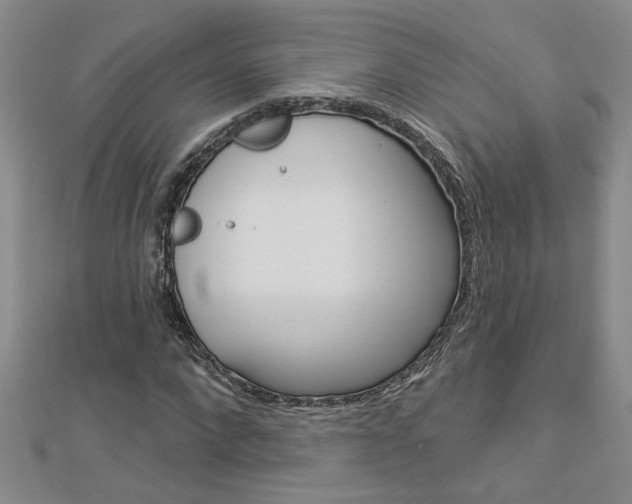 X0000113020872200908271031