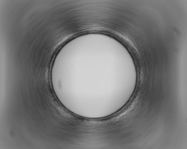 X0000113020873200908271031