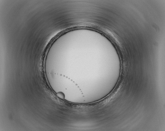X0000113020875200908271031