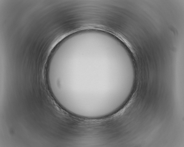 X0000113020877200908271031