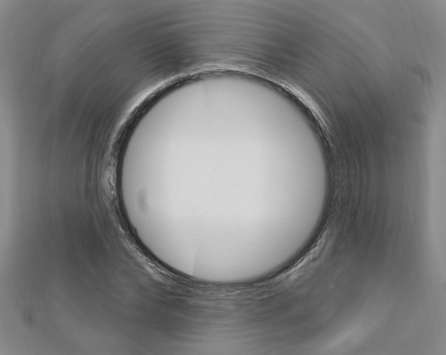 X0000113020878200908271031