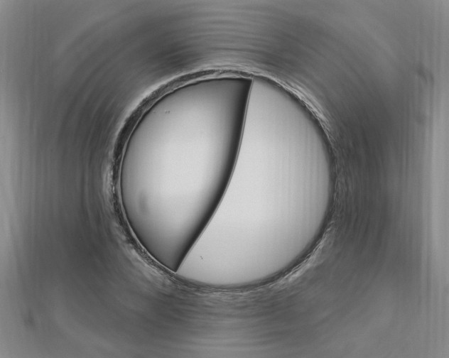 X0000113020880200908271031