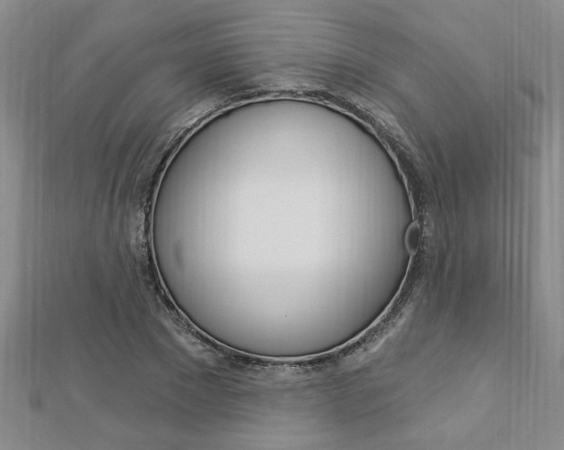 X0000113020881200908271031
