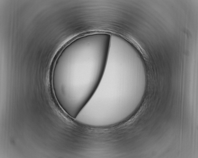 X0000113020884200908271031