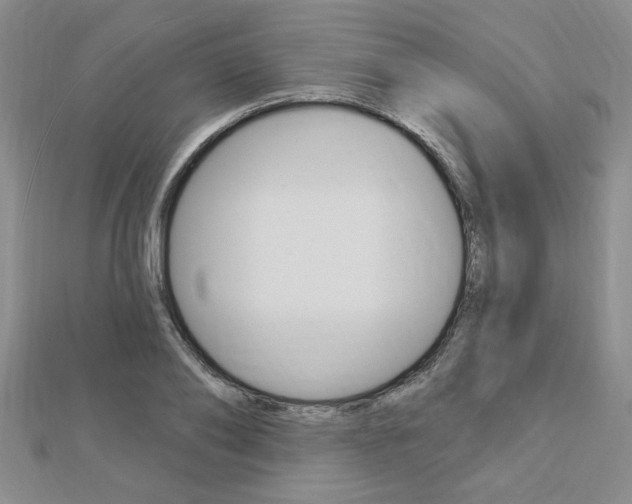 X0000113020886200908271031
