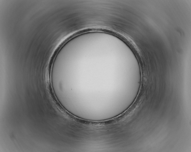 X0000113020887200908271031