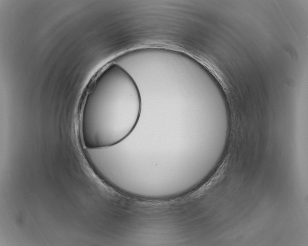 X0000113020888200908271031