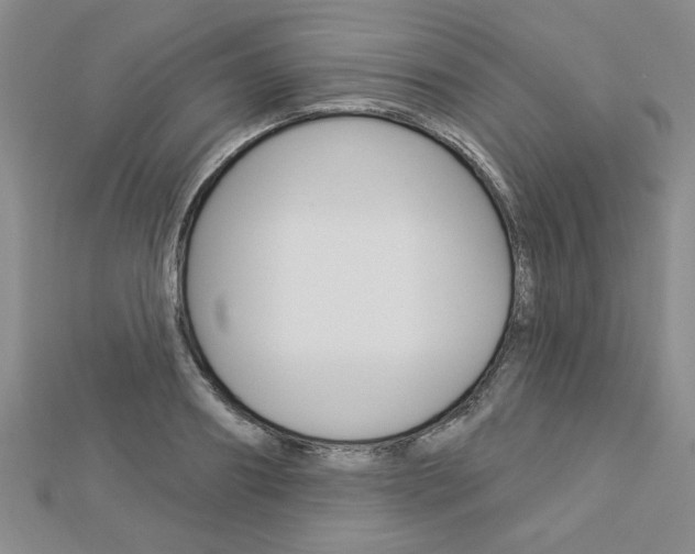 X0000113020890200908271031