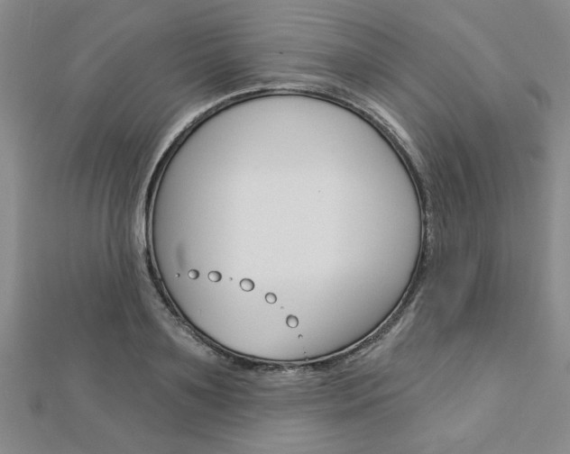 X0000113020891200908271031
