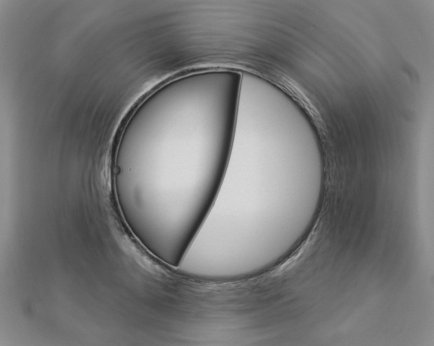 X0000113020892200908271031