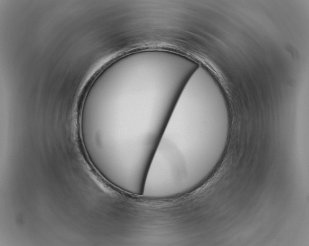 X0000113020894200908271031