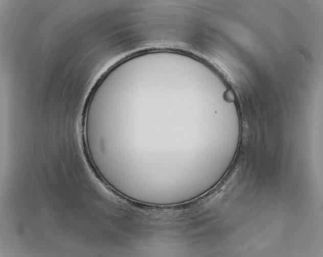X0000113020895200908271031