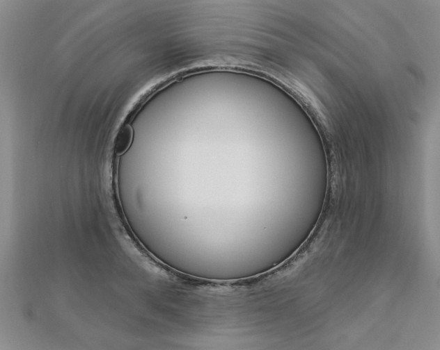 X0000113020896200908271031