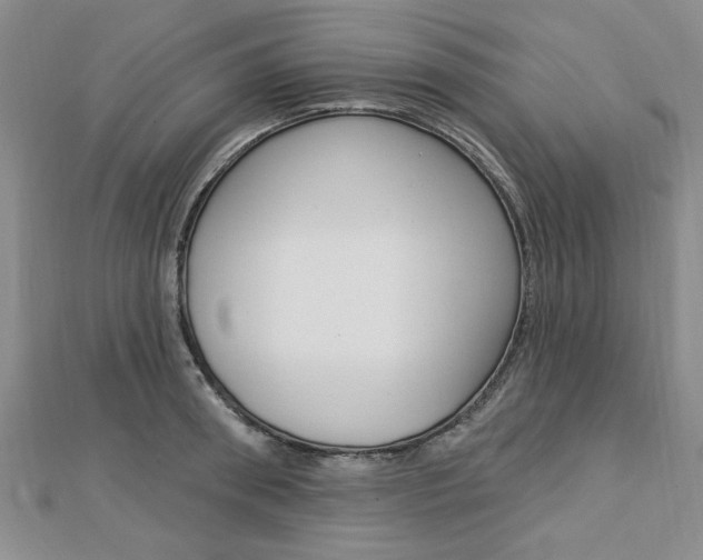 X0000113020898200908271031
