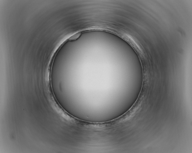 X0000113020900200908271031