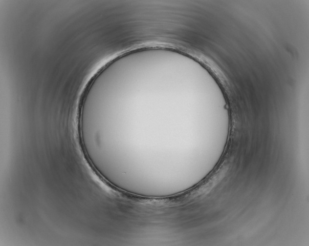X0000113020902200908271031