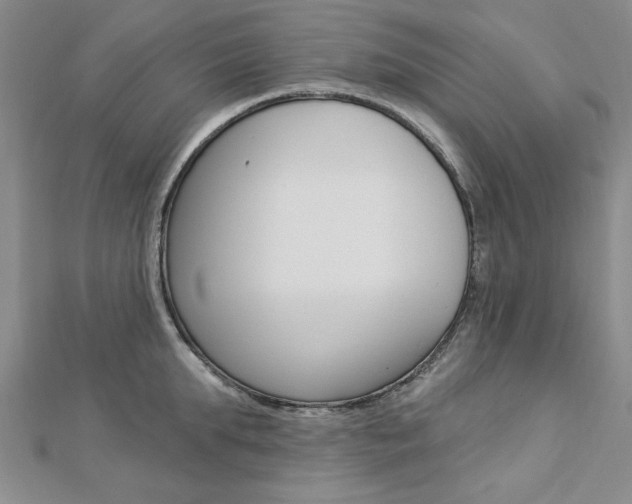 X0000113020903200908271031