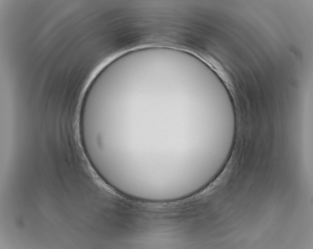 X0000113020904200908271031