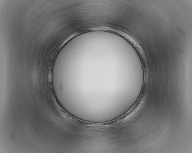 X0000113020905200908271031