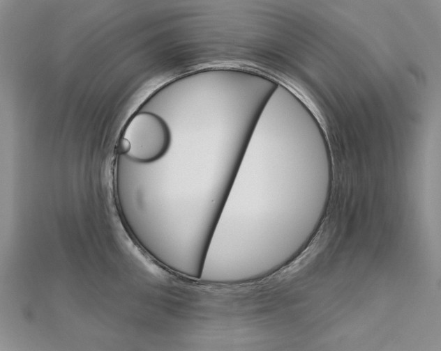 X0000113020906200908271031